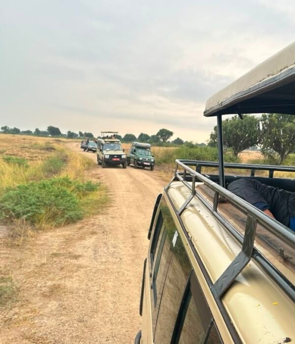 3-days-safari-to-queen-elizabeth-national-park